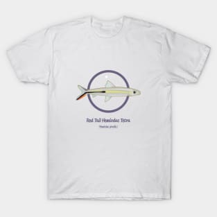 Red Tail Hemiodus Tetra T-Shirt